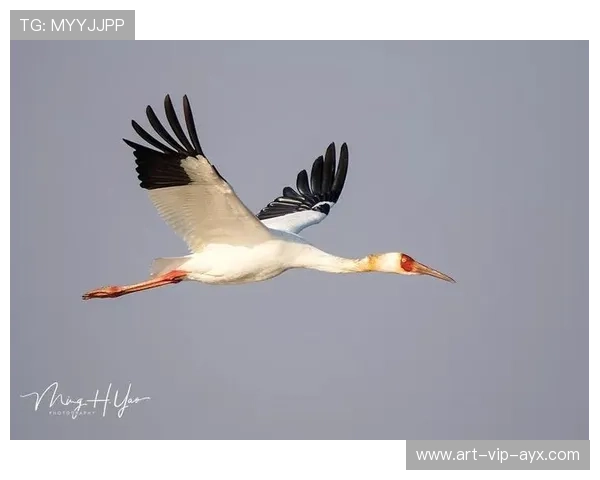 鄱阳湖划船赛，水上运动的魅力无限，鄱阳湖能划船吗